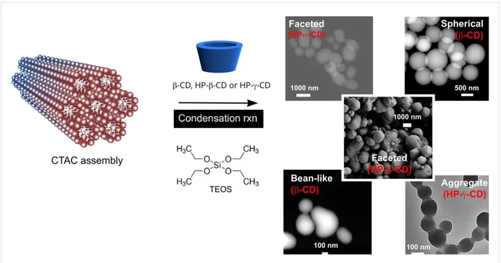 Figure 1: Synthesis scheme, electron microscopy images (S-TEM, TEM and SEM) of MSNs of various shapes that were synthesized in the presence of different CD types (β-CD, HP-β-CD and HP-γ-CD).