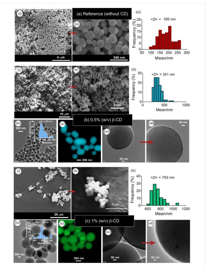 Figure 2: SEM (i, ii), TEM (iv, vi, vii) and colored STEM (v) images and the particle size-distribution plots (iii) of MSNs produced at two different con- con-centrations of β-CD (MSN-1 (b) and MSN-2 (c))