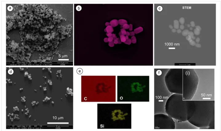 Figure 3: Electron microscopy images of MSNs (MSN-3) produced at 0.25% (w/v) of HP-γ-CD