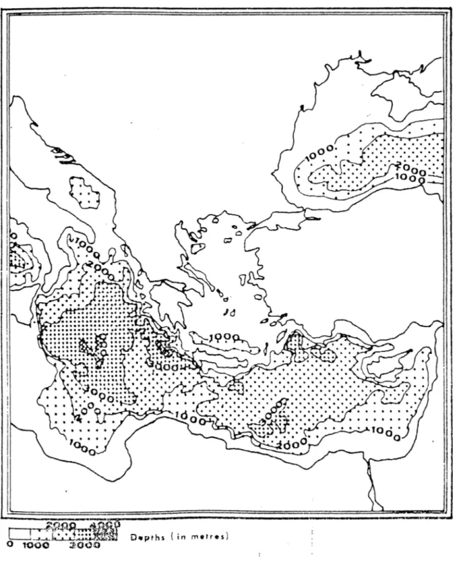 Fig.  1:  Sea level in the Mediterranean  (Luciani  1984:  5,  fig. 1.1)