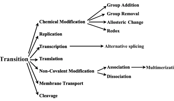 Figure 5.  Proposed tree structure used to classify transitions in the PATIKA ontology.  If  the nature of a transition can not be defined in the existing ontology, it can be considered  as generic transition to be defined and added in the ontology. Transi