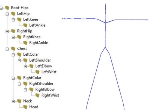 Figure 2.2: A hierarchical human skeleton.