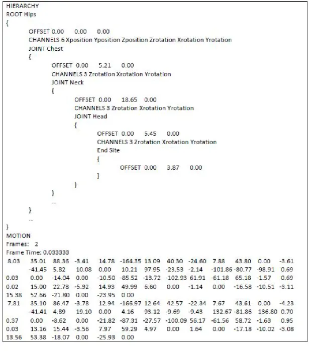 Figure 3.2: An example of BVH file.