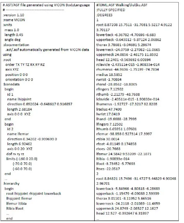 Figure 3.3: An example of AMC/ASF file pair.