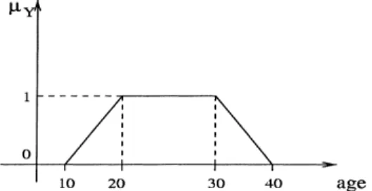 Fig. 1. Membership function of the fuzzy set young.