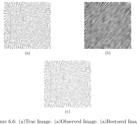 Figure 6.6: (a)True Image. (a)Observed Image. (a)Restored Image.