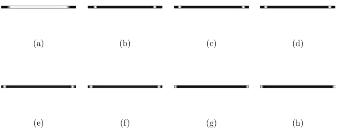 Figure 7.1: Sample dictionary to solve semi-blind motion deblurring problem Notice that by using linear combinations of these 8 kernels, one can construct any motion blur kernel, which has an angle of 0 o and has a length between 28 and 35 pixels