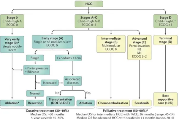 Figure 1.3: BCLC staging system for HCC patients. Reproduced with permission from Springer  Nature [3]