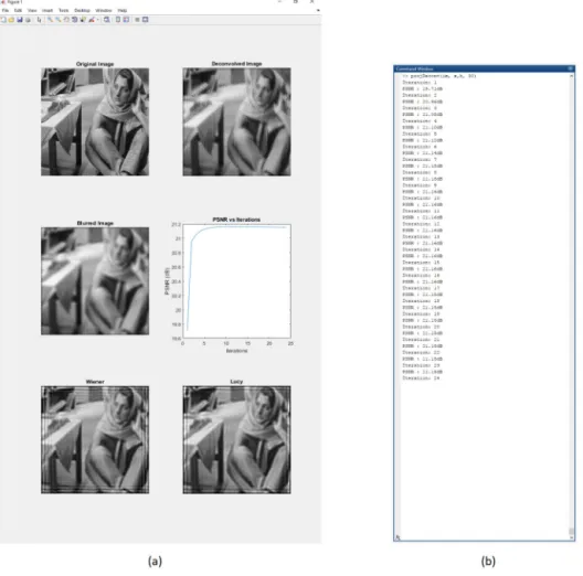 Fig. 3. (a) projDeconv output as it is processed by MATLAB 2016a. The input is blurred with a disk ﬁlter with radius = 9pixels