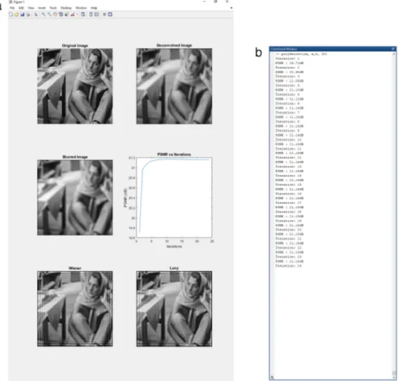 Fig. 3. (a) projDeconv output as it is processed by MATLAB 2016a. The input is blurred with a disk filter with radius = 9 pixels