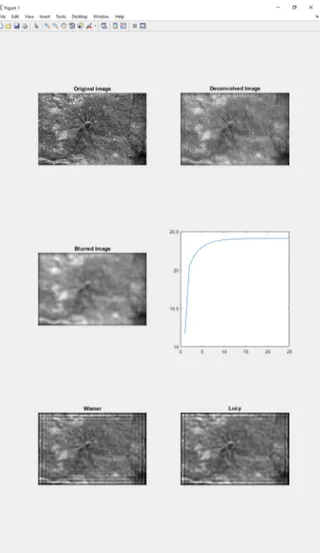 Fig. 5. Deconvolution results of an image with high total variation values. The PSNR result of the presented software (20.40 dB) is not as good as the results of Wiener (20.60 dB) or Lucy–Richardson deconvolutions (20.51 dB)