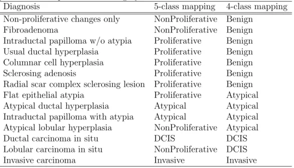 Table 3.2: Hierarchical mapping of original 14 diagnoses to subsets of 5 and 4 classes