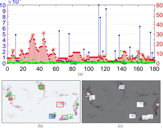 Figure 3.2: ROI detection from the viewport logs. (a) Viewport log of a partic- partic-ular pathologist