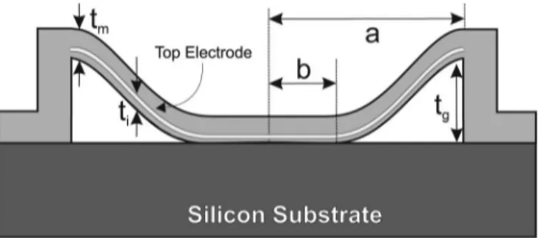 Fig. 1. cross section of a collapsed clamped circular membrane with  radius a, thickness t m , and gap height of t g 