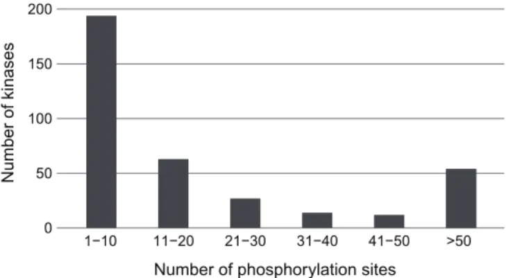 Figure 1.1: The distribution of the number of experimentally validated target phosphosites for kinases in the human kinome
