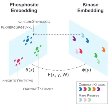 Fig. 2. Overview of the application of zero-shot learning to the prediction of kinase–