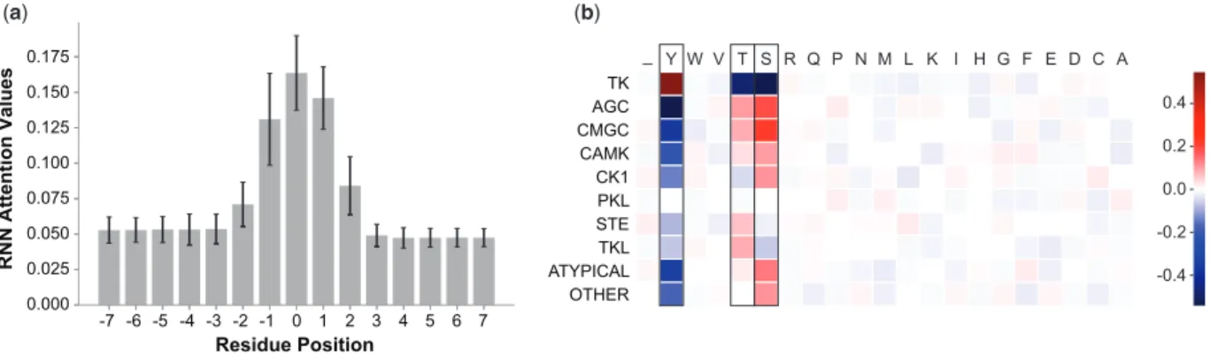 Figure 5a shows the average attention assigned to each position in the input sequence by the BRNN model