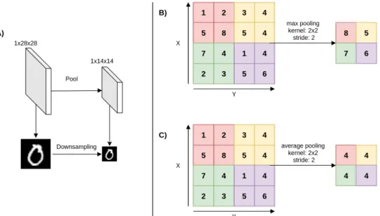 Figure 2.4: A) Shows the downsampling of the input image after applying the pooling layer