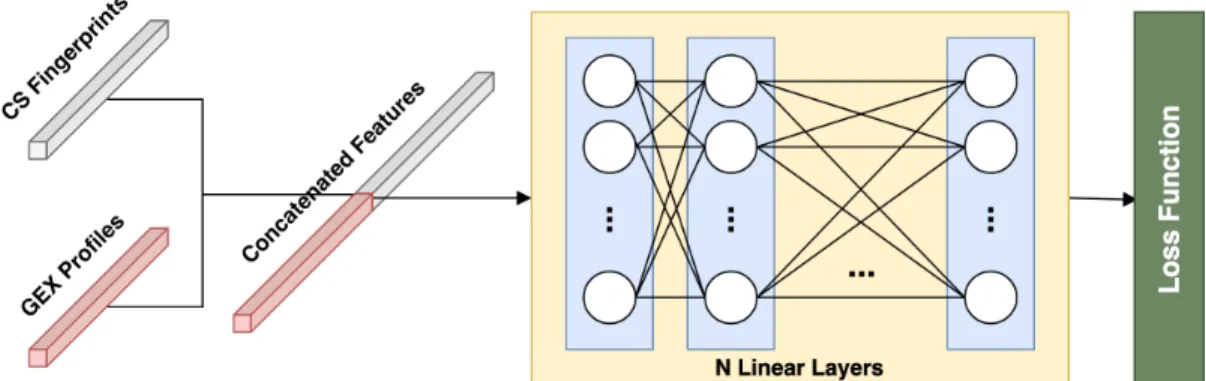 Figure 3.1: Multi-Layer Perceptron architecture developed for the concatenated features of GEX and CS.