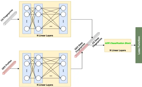 Figure 3.2: Multi-Model Neural Network architecture has two branches to feed network separately with GEX and CS features.