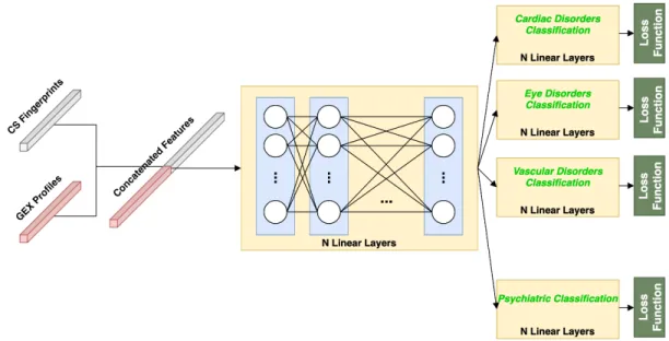 Figure 3.3: Multitask Neural Network architecture that shares weights in common layers and each of the side effect groups has its own classifier.