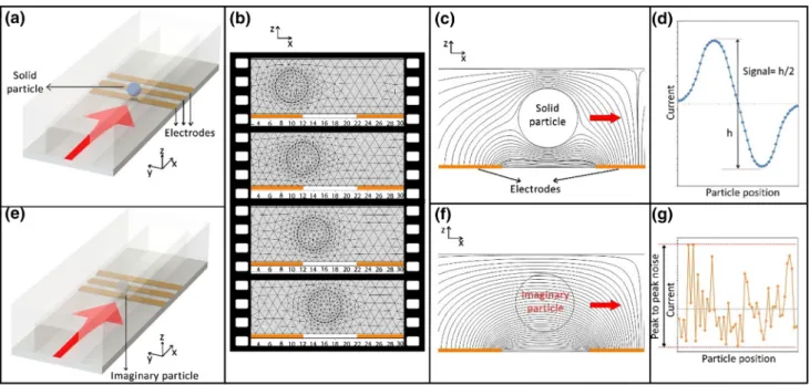 Fig. 3 Schematic representation of the particle in a microchannel simulated by COMSOL