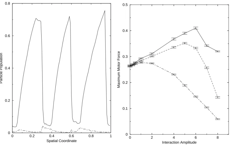 Fig. 6. Population versus spatial coordinate of a central particle of a triplet of neighboring particles all attached to the ratchet potential (solid), and with the central particle attached while both of the neighbors detached (dot-dashed) at maximum moto