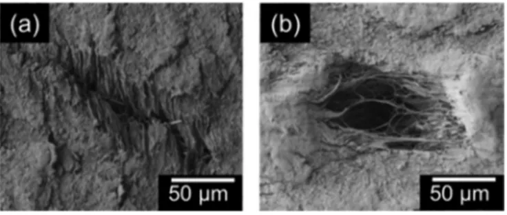 FIG. 5. Optical images of void formation and growth in strained PTFE films at (a) 250% strain, where the void is first noticed, (b) 350%