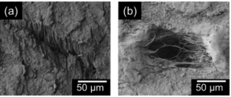 FIG. 5. Optical images of void formation and growth in strained PTFE films at (a) 250% strain, where the void is first noticed, (b) 350%