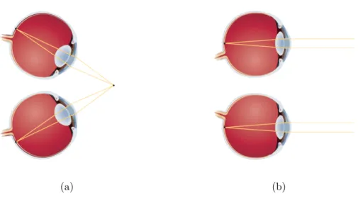 Figure 2.10: Oculomotor Cues: (a) Convergence of the eyes and lens accommo- accommo-dation occurs when a person looks at something that is very close; (b) The eyes look straight ahead and the lens relax when the person observes something that is far away.