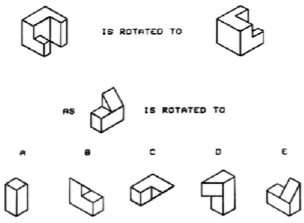 Figure 6. A sample question from the Purdue Spatial Visualization Test in rotations  construct 