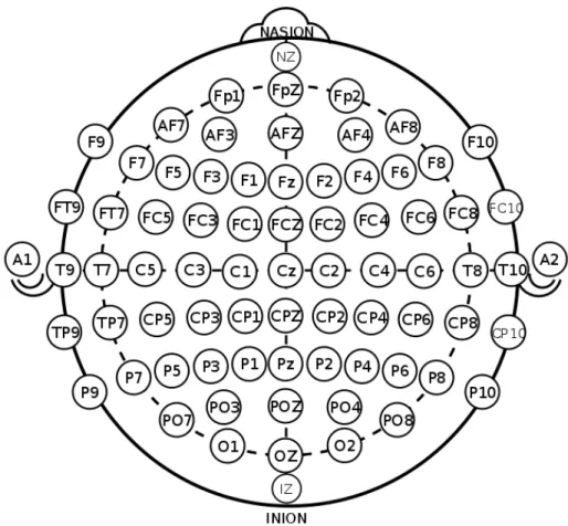 Figure 1.2: Electrode positions over the skull described by 10-20 international system