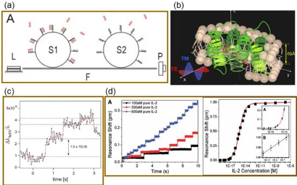 Figure 1.2: Examples of biosensing with WGM type microresonators. (a) Detection of DNA  single strands with microspheres functionalized with their complementary DNA