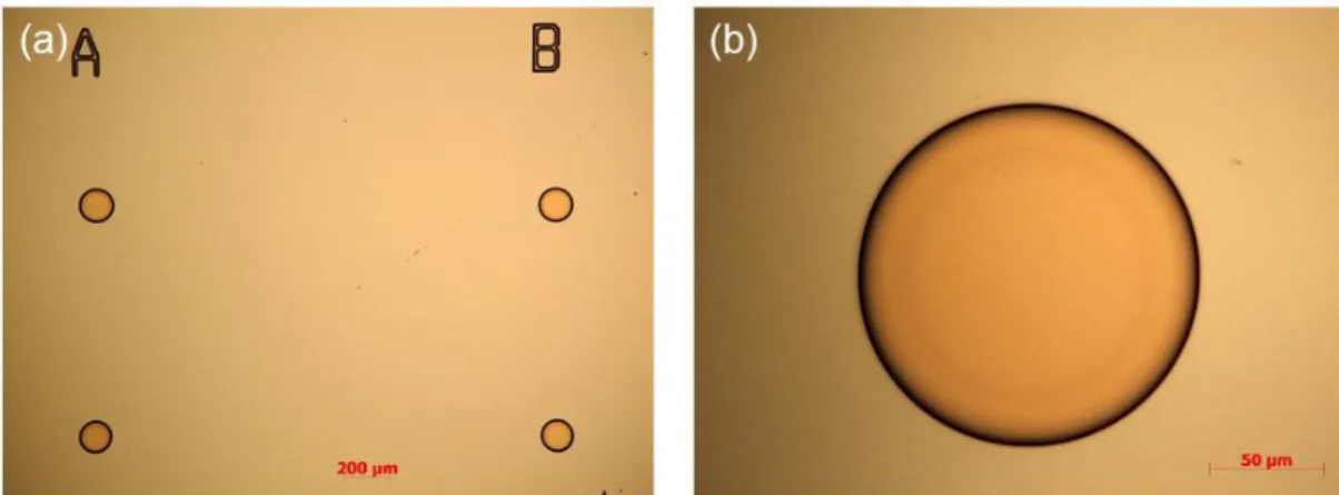 Figure 2.1: Optical microscopy images after the photolithography. (a) Image taken with a 5X  objective