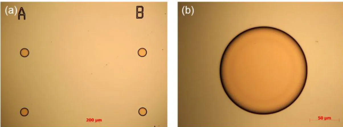 Figure 2.1: Optical microscopy images after the photolithography. (a) Image taken with a 5X  objective