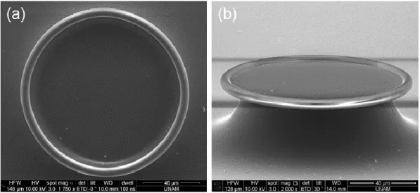 Figure  2.4:  SEM  images  of  the  microtoroids.    Both  top  and  side  (75°  tilted)  views  were  investigated to comprehend the toroid morphology better.