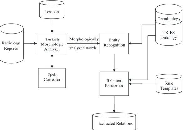 Table 1 gives the steps of TRIES which is applied to a sample sentence. After morphological analysis, the sample sentence can be seen as a sequence of root words and morphemes