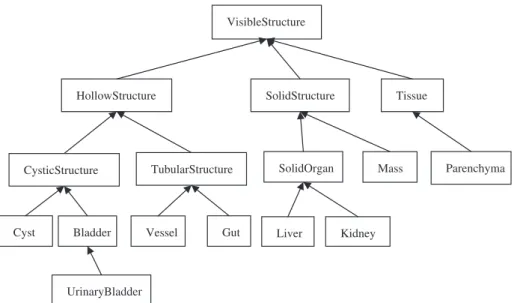 Fig. 2. An excerpt from TRIES ontology that was designed using Prote´ge´: VisibleStructure is the parent for all other entities.