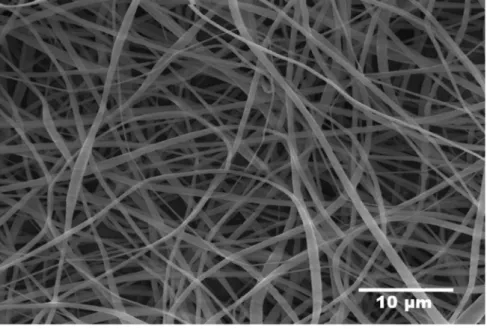 Fig. 3. SEM image of electrospun PCL nanoﬁbers.