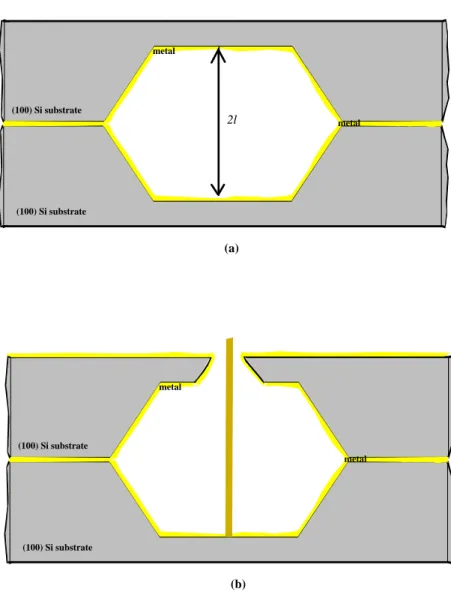 Figure 2.12: Two silicon substrate is combined face to face (Side view). (a) The cavity is formed