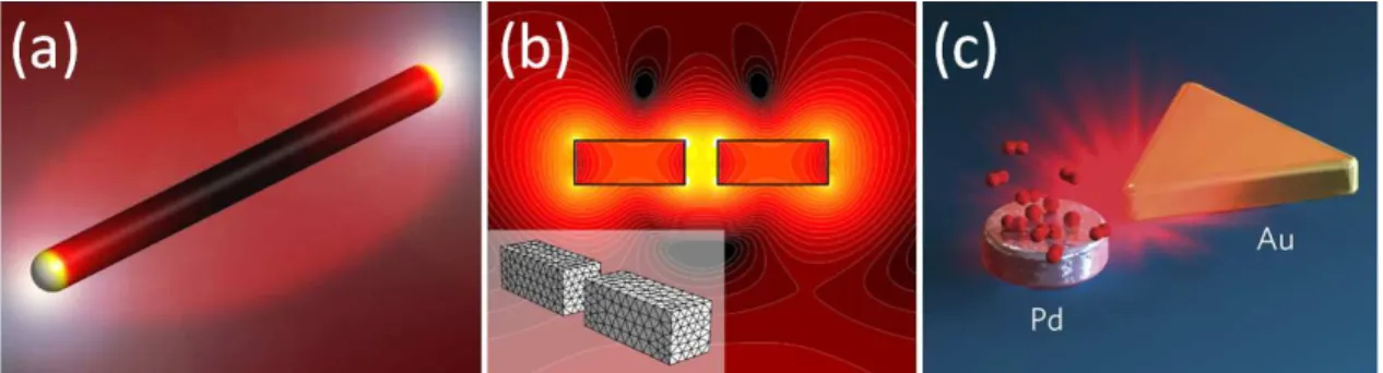 Figure 2.1: Some examples for optical antennas. (a) Single rod nanoantenna and electromagnetic field distribution around the antenna (Ref