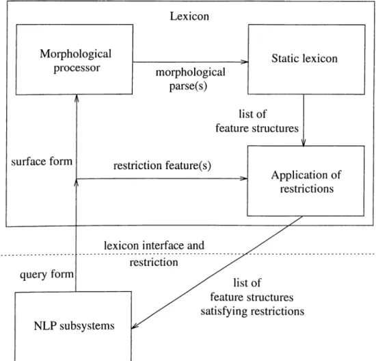 Figure  3.1:  Architecture of  the  lexicon.