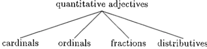Figure  3.15:  Subcategories  of  adjectives