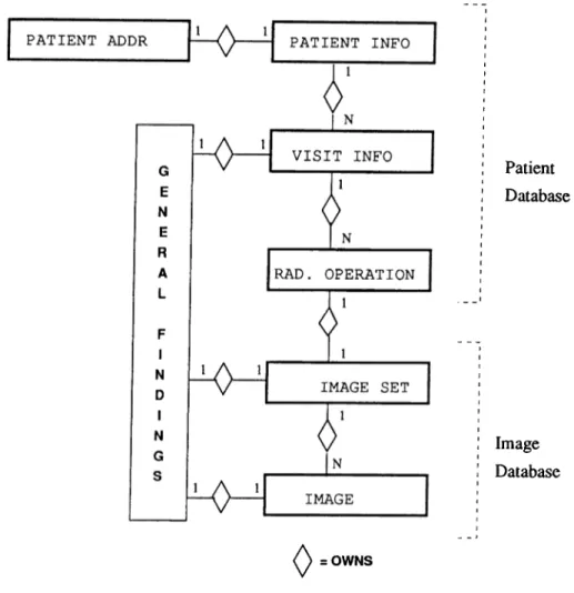 Figure 3.2.  The Entity  Relationship  Model of Radiological  Patient  Information