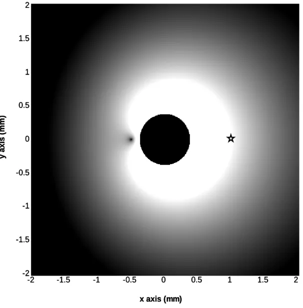 Figure 2.2: Signal reception profile of optimum internal coil (axial H-map). This  shows the optimum field pattern inside the body model that will maximize the intrinsic  SNR at location  ( ρ =1 mm,  =0,  z=0φ ) 