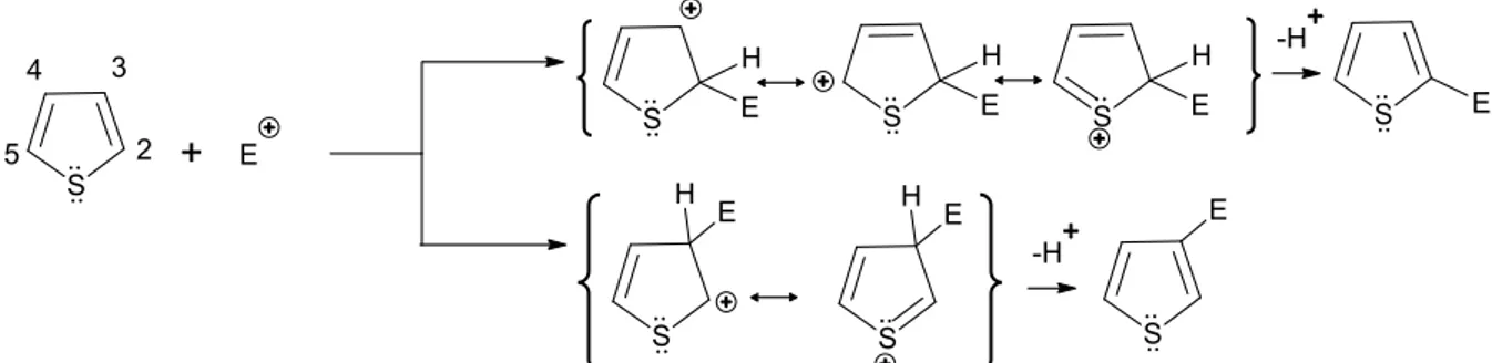 Figure 1.5b Thiophene carbon sites and heterocyclic resonance towards an electrophilic  attack  