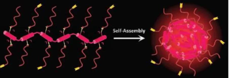 Figure  1.18  Amphiphilic  nanoparticle  formation,  reproduced  with  permission  from  ref [61]