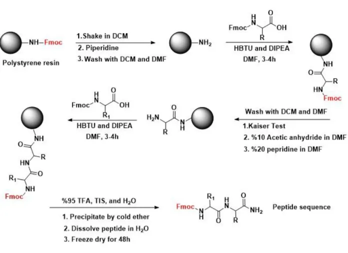 Figure 1.8 Standard solid-phase peptide synthesis procedure based on Fmoc chemistry. 