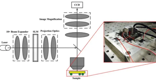 Fig. 1. Simplified schematic diagram of the experimental setup of a SP confocal microscope.