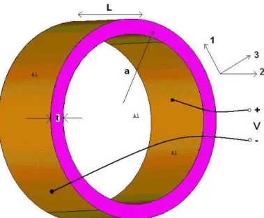 Figure 2.1 31-Mode Free-flooded ring transducer 